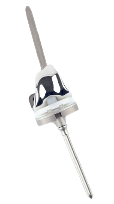 Prótesis AIKON Revisión