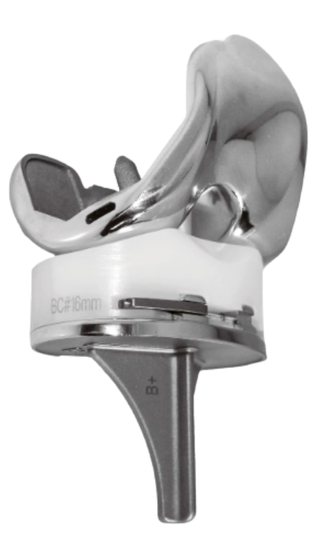 Prótesis de rodilla AIKON