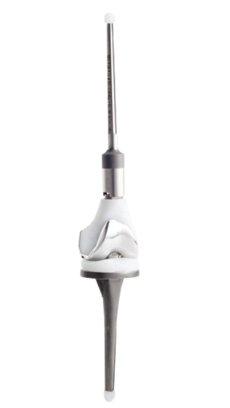 Endoprótesis Fémur Distal