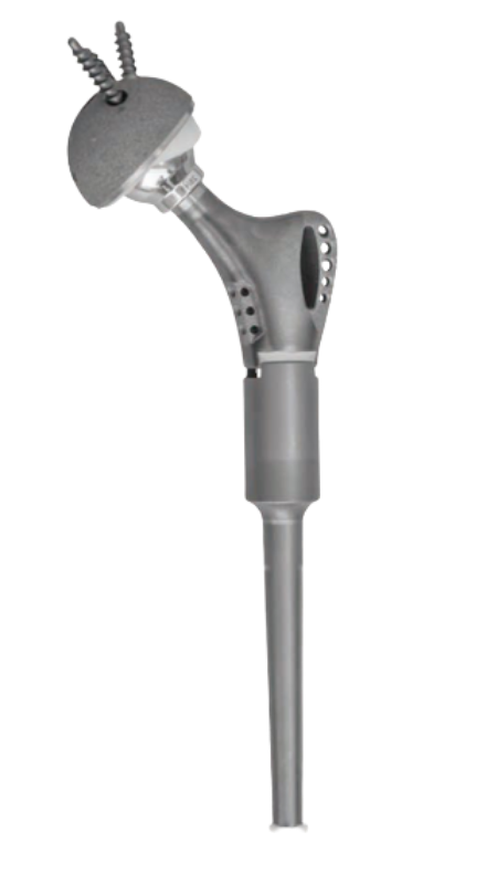 Endoprótesis Fémur Proximal