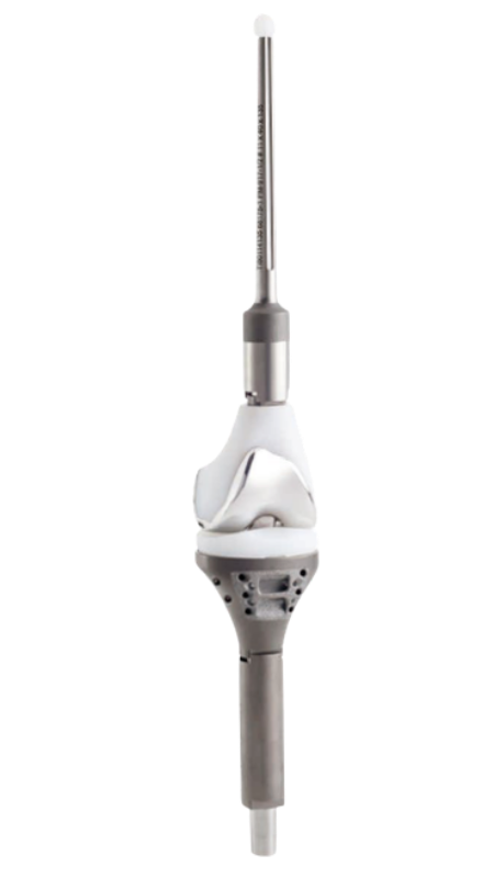 Endoprótesis Tumor-Tumor